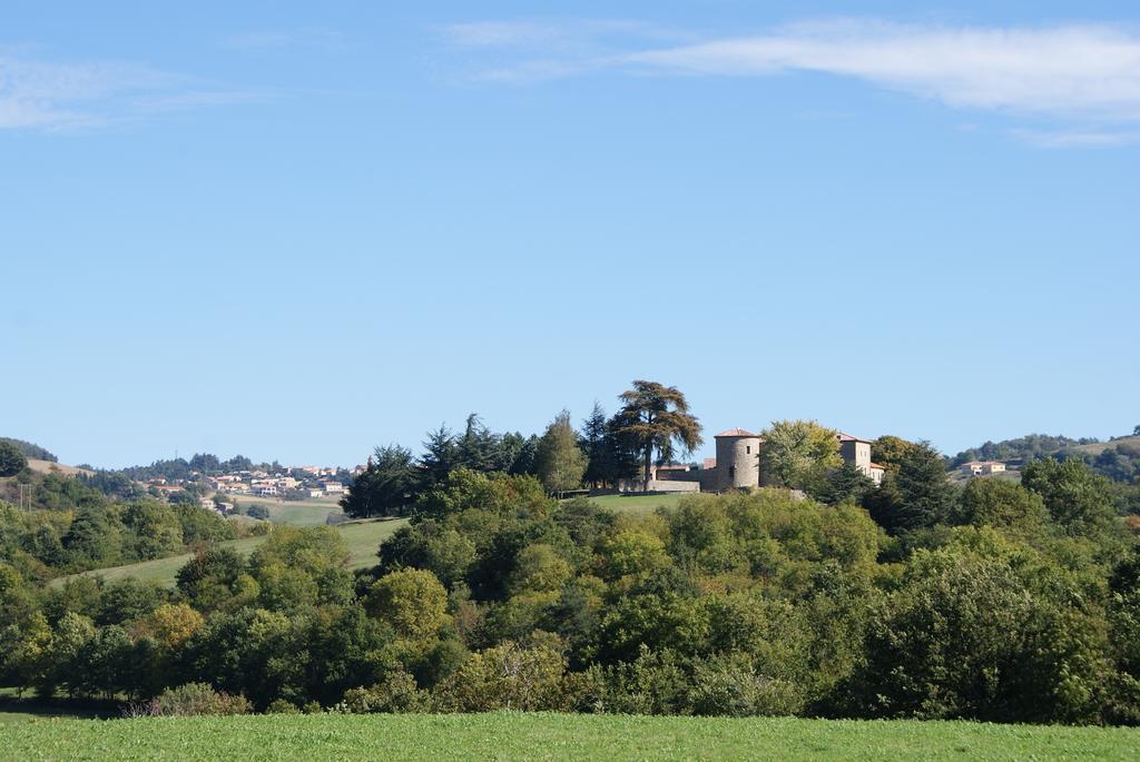 Chateau Du Besset Saint-Romain-de-Lerps Exterior photo